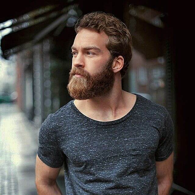 Best beard growth vitamins